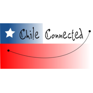 Publiaconcagua logo