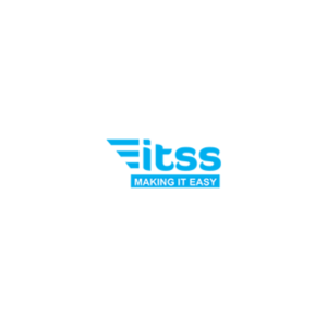 IT Solutions and Services logo