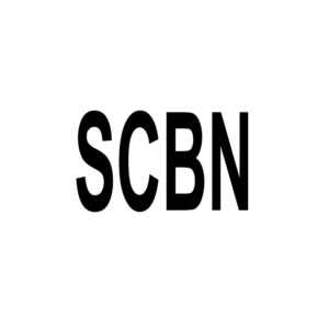 Webdesigner di Salvatore Coda logo