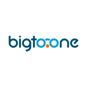 Business Integrate Group to One S.L. logo