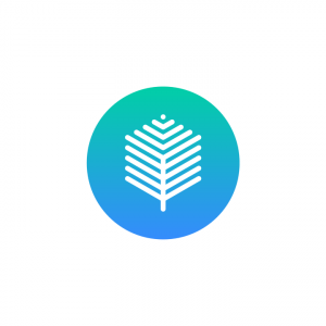 S7REAM logo
