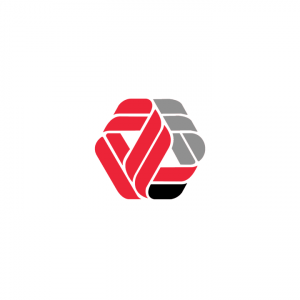 RSI NGD Group of Companies logo