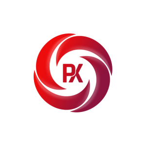 Pure Next logo