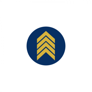GetWealthStack logo